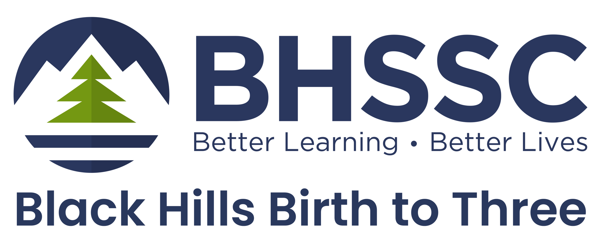 BHSSC Birth to Three Logo
