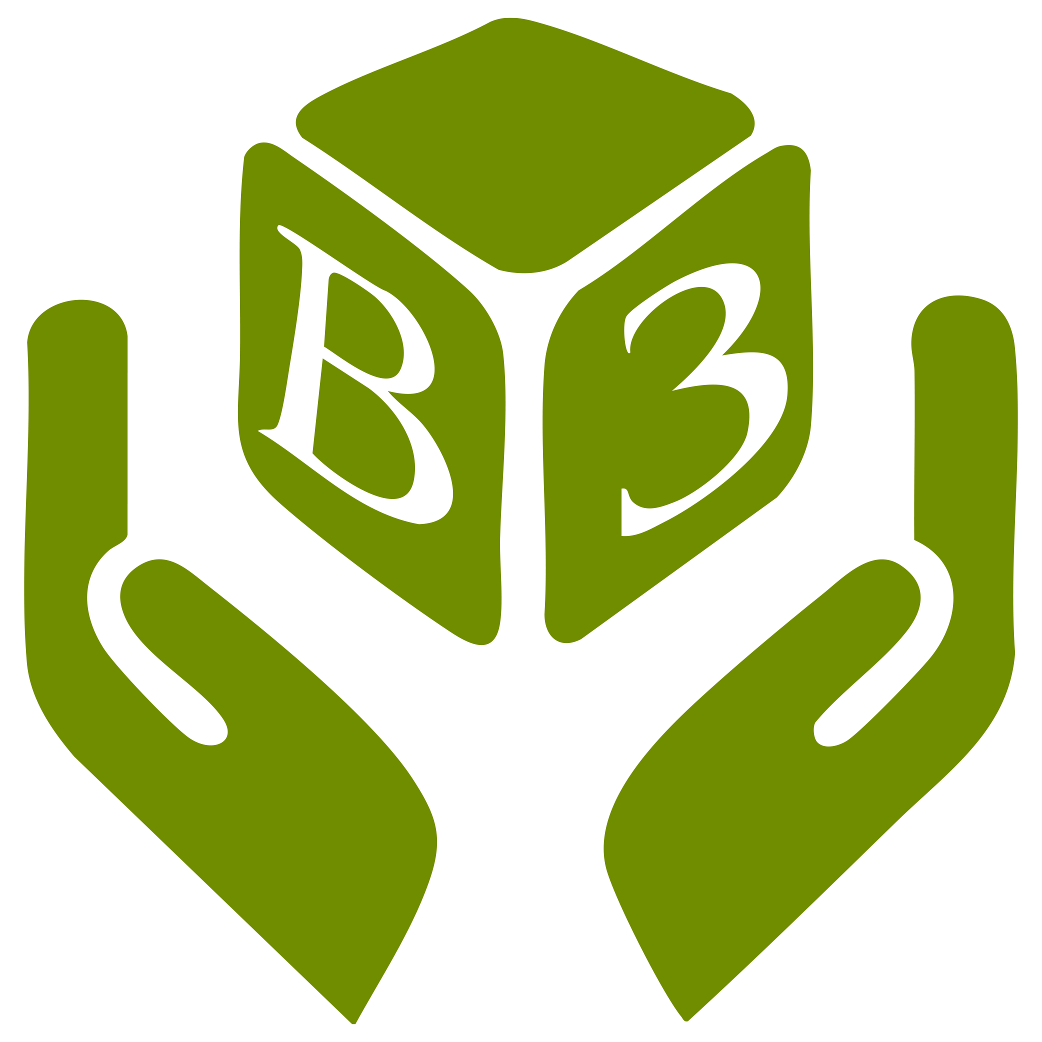 CFS_Icons_BlackHillsBirthToThree