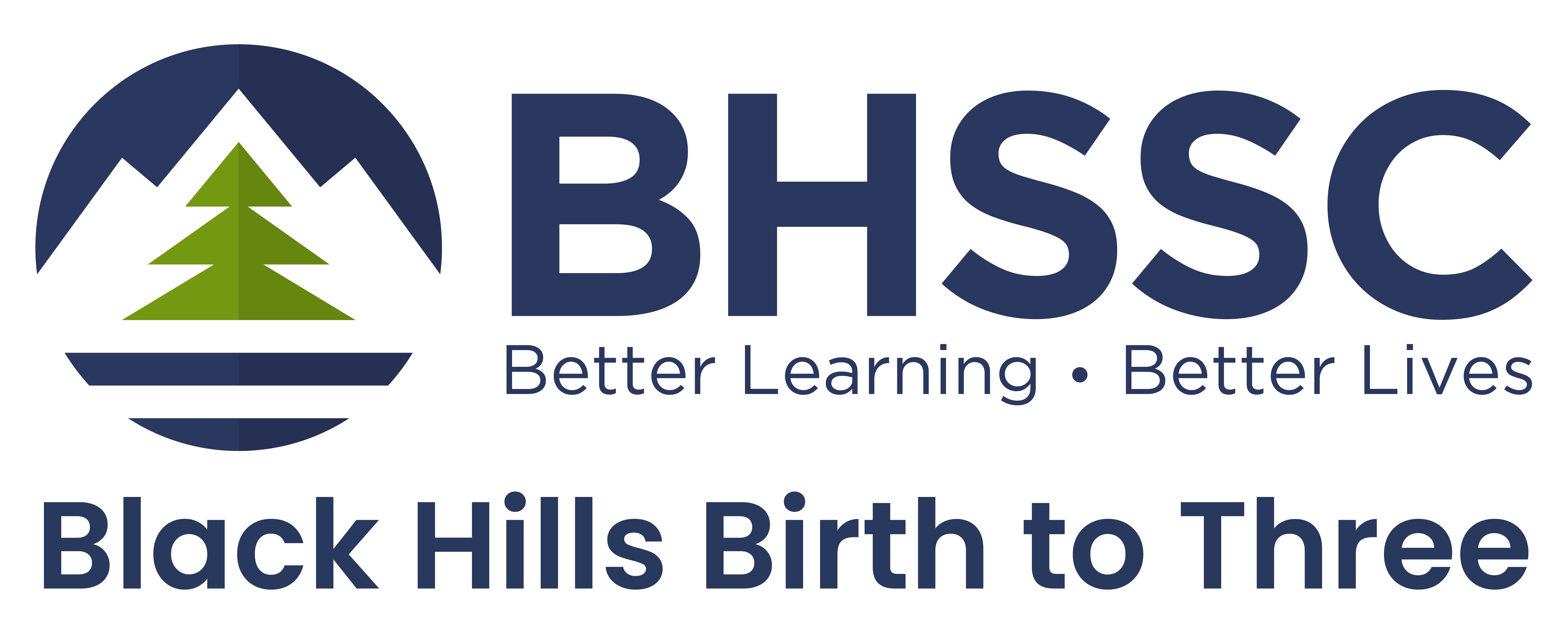 BHSSC Birth to Three Logo